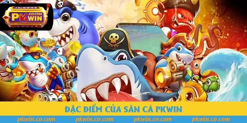 Đặc điểm của săn cá Pkwin