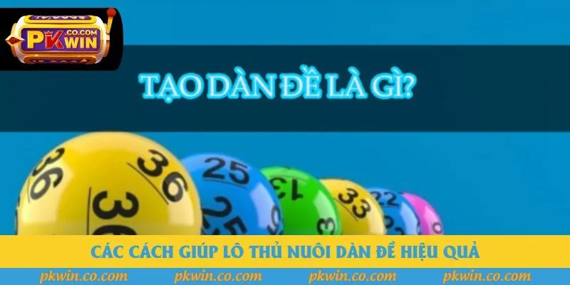 Các cách giúp lô thủ nuôi dàn đề hiệu quả Các cách giúp lô thủ nuôi dàn đề hiệu quả