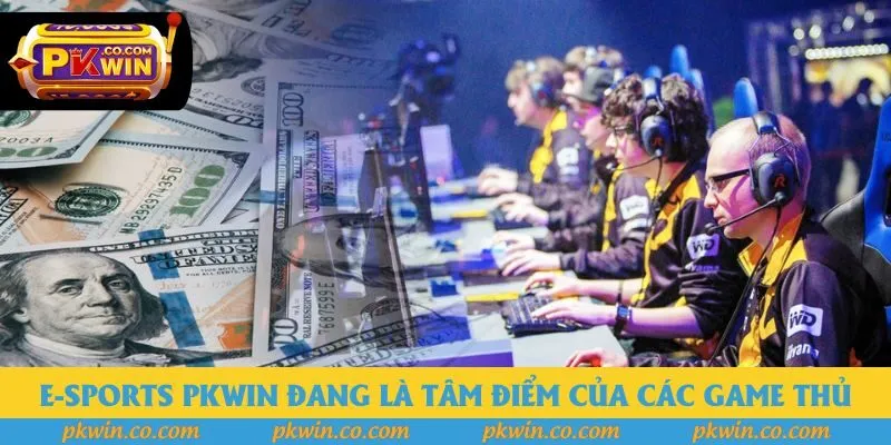 E-sports pkwin đang là tâm điểm của các game thủ E-sports pkwin đang là tâm điểm của các game thủ