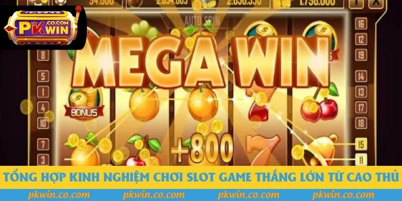 Tổng hợp kinh nghiệm chơi slot game thắng lớn từ cao thủ Tổng hợp kinh nghiệm chơi slot game thắng lớn từ cao thủ