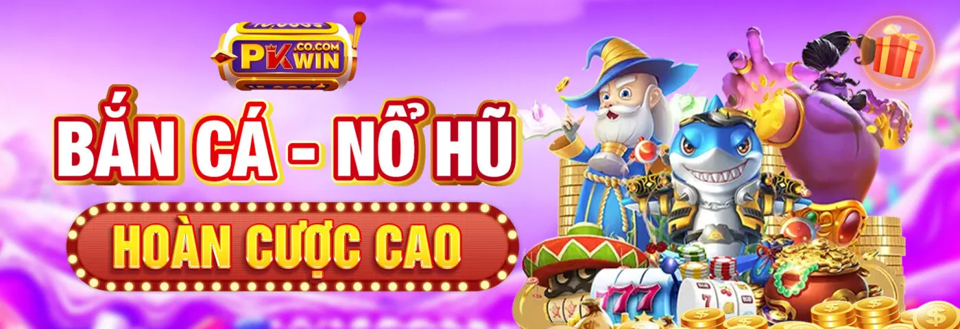 Banner Pkwin 3