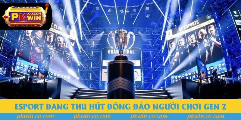Esport đang thu hút đông đảo người chơi gen Z Esport đang thu hút đông đảo người chơi gen Z
